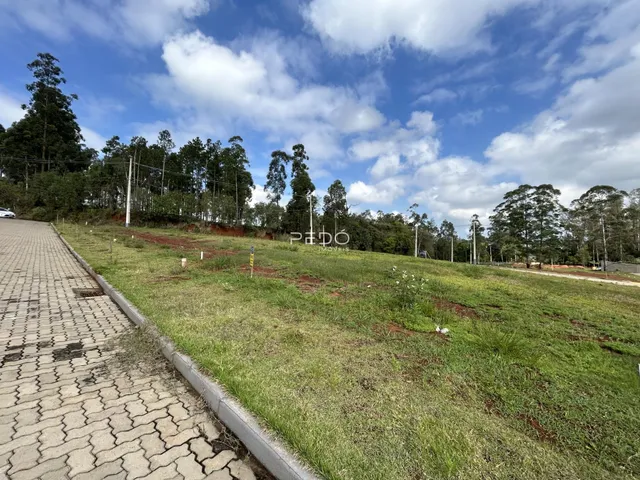 Vista da propriedade com gramado e estrada ao lado.
