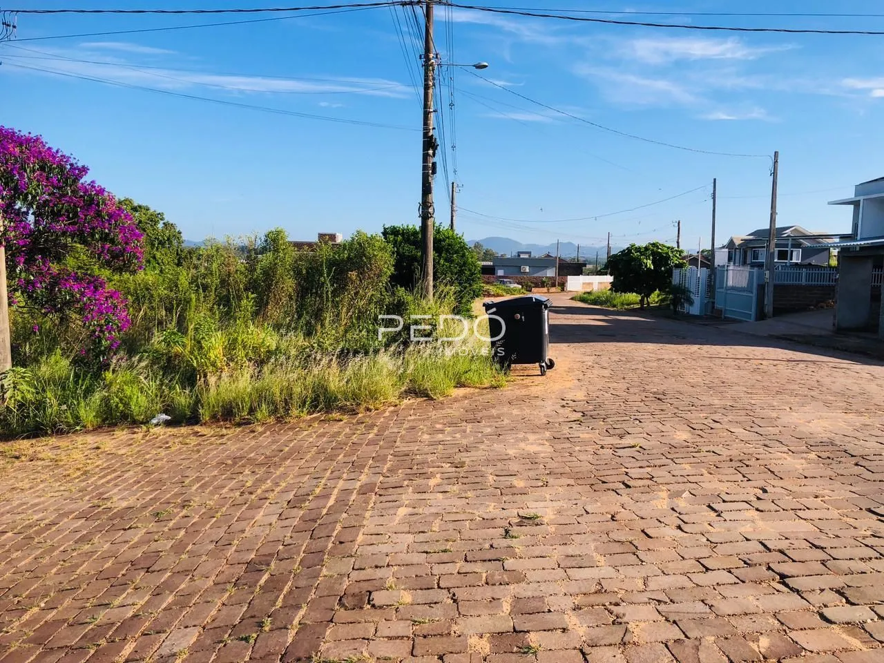 Vista da rua e vegetação de uma propriedade em Lajeado.