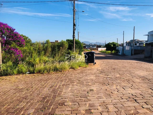 Vista da rua e vegetação de uma propriedade em Lajeado.
