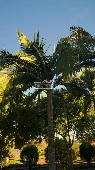 Área rural com 3 dormitórios, foto 9