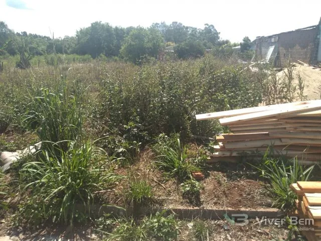 Terreno, foto 3