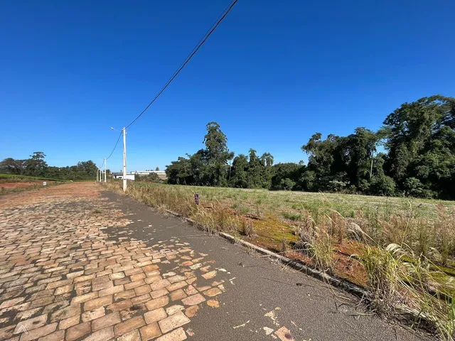 Terreno, foto 2