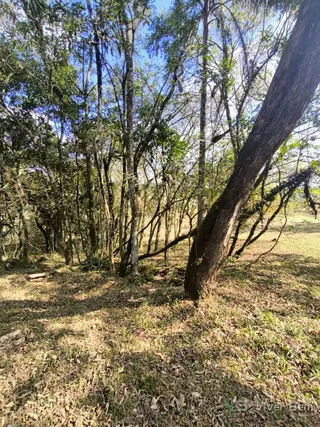 Área rural, foto 8