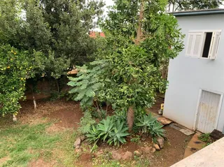 Casa com 3 dormitórios, foto 16