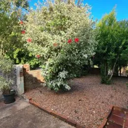 Terreno, foto 3