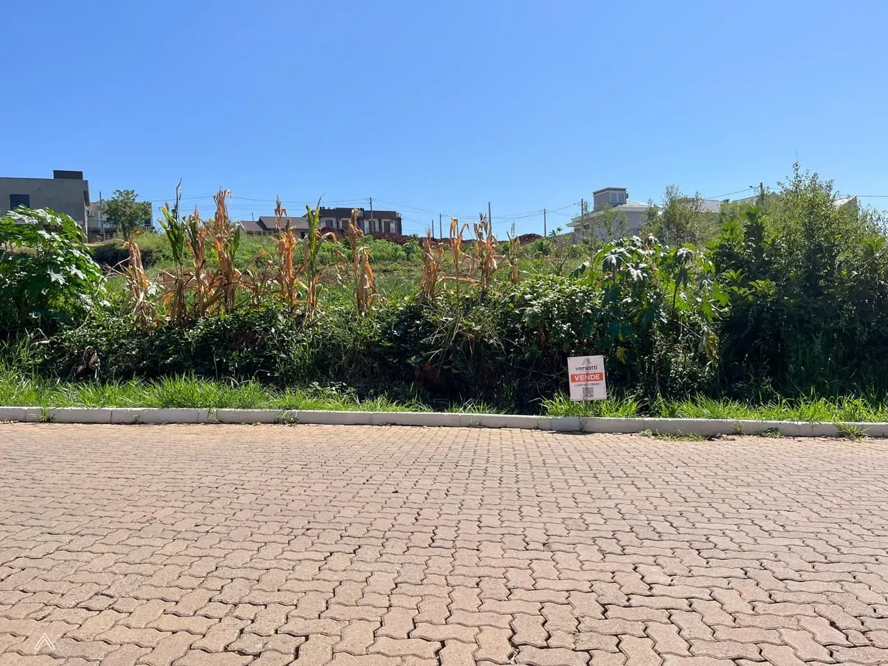 Terreno, foto 1