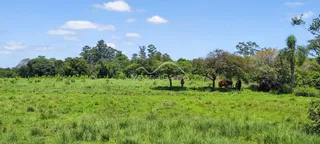 Área rural, foto 1