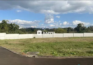 Terreno, foto 3