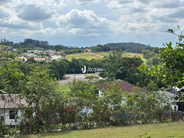 Vista panorâmica de paisagem rural com vegetação densa e casas ao fundo.