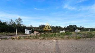 Terreno, foto 3