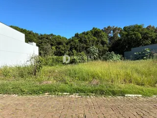 Vista externa de uma propriedade com vegetação alta e muro branco.