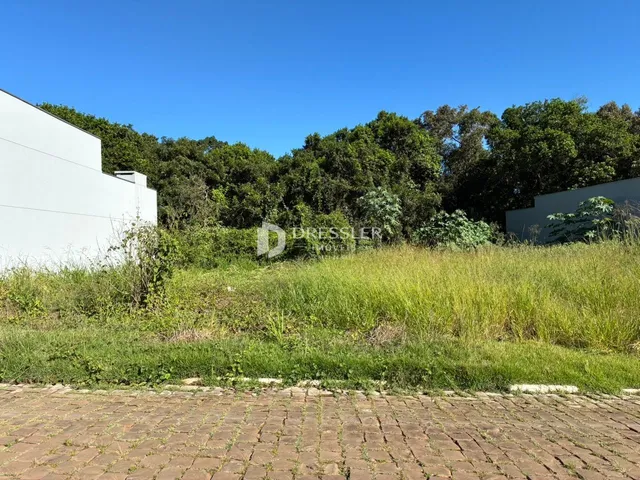 Vista externa de uma propriedade com vegetação alta e muro branco.
