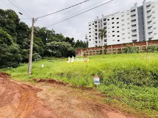 Vista da paisagem com vegetação e estrada de terra em Lajeado.