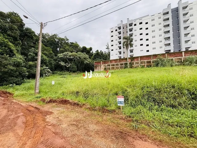 Vista da paisagem com vegetação e estrada de terra em Lajeado.