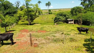 Área rural com 2 dormitórios, foto 10