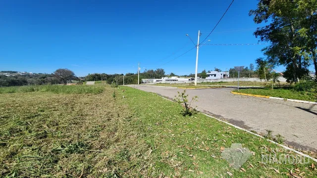 Terreno, foto 2
