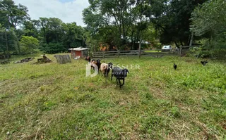 Área rural com 3 dormitórios, foto 24