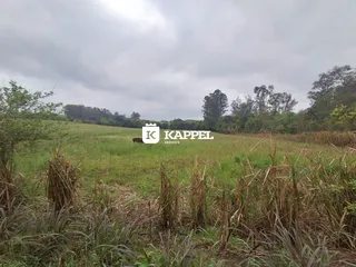 Vista de um campo aberto com vegetação alta e árvores ao fundo sob um céu nublado.