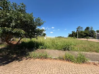 Vista externa de uma área com vegetação e caminho de terra.