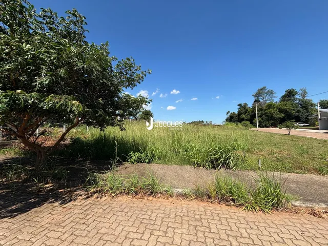Vista externa de uma área com vegetação e caminho de terra.