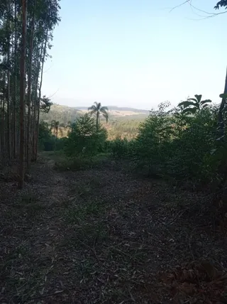 Área rural, foto 4