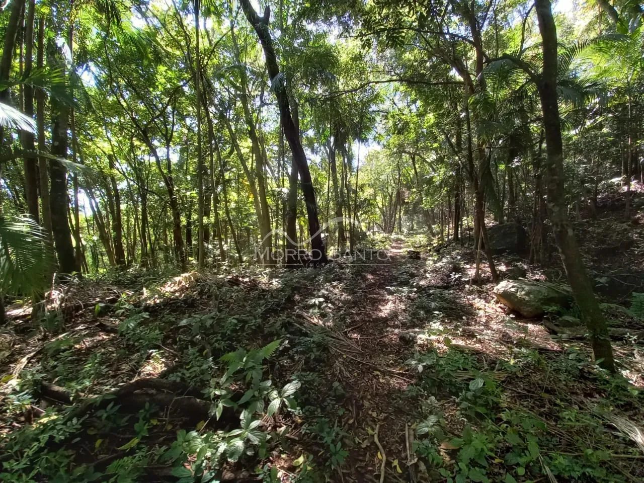 Área rural, foto 1
