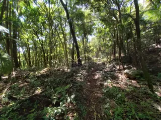 Área rural, foto 1