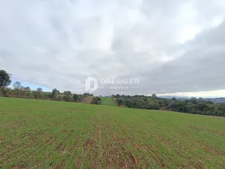 Campo verde extenso com colinas ao fundo sob um céu nublado.
