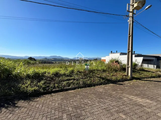 Terreno, foto 3