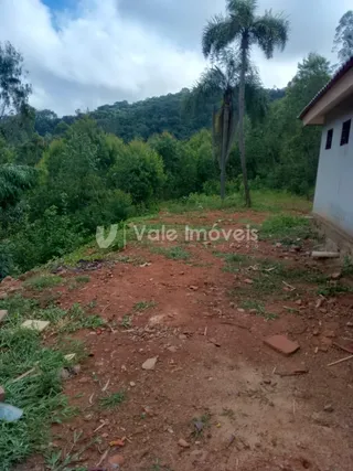 Área rural com 2 dormitórios, foto 8