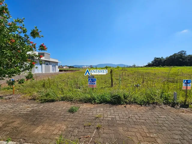 Terreno, foto 3