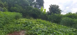 Terreno, foto 2