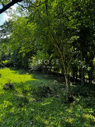 Área rural, foto 7
