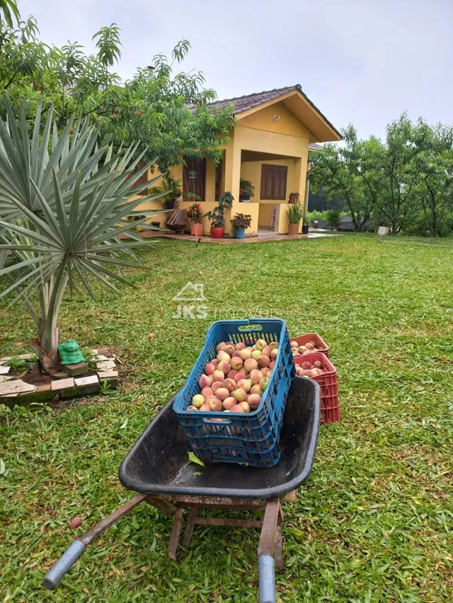 Área rural com 4 dormitórios, foto 2