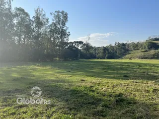 Campo verde com árvores ao fundo sob um céu azul.
