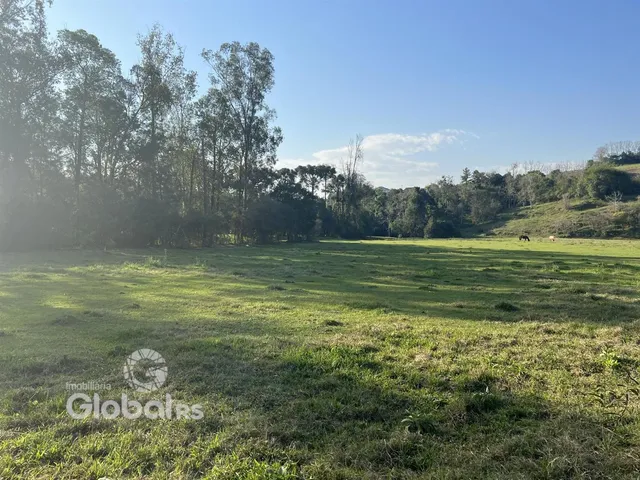 Campo verde com árvores ao fundo sob um céu azul.
