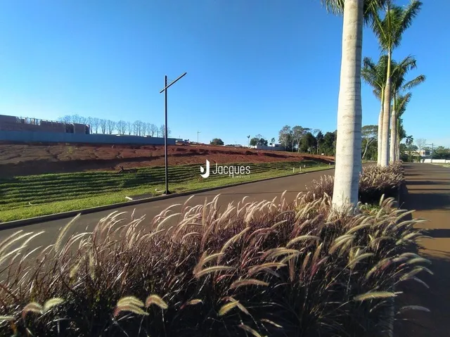 Vista da propriedade com vegetação e céu azul.