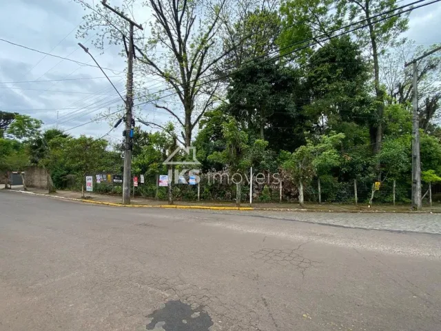 Terreno, foto 4