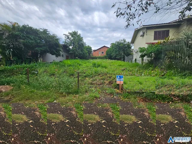 Terreno, foto 2