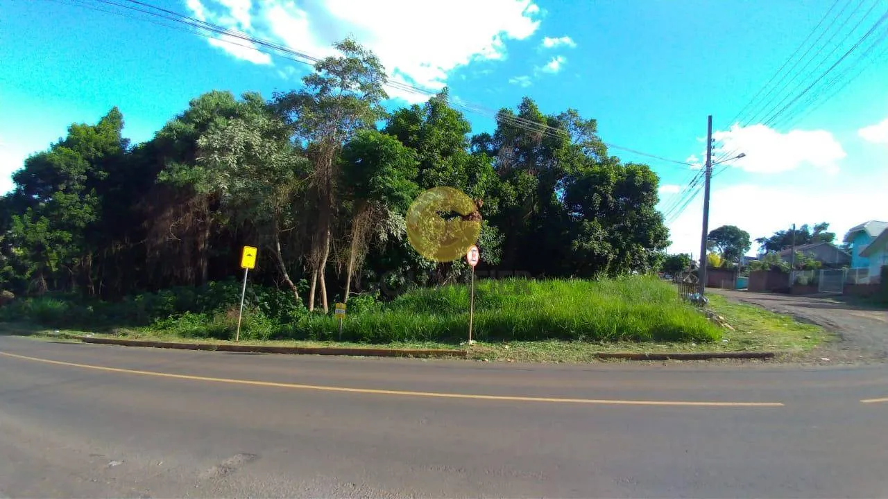 Terreno, foto 1
