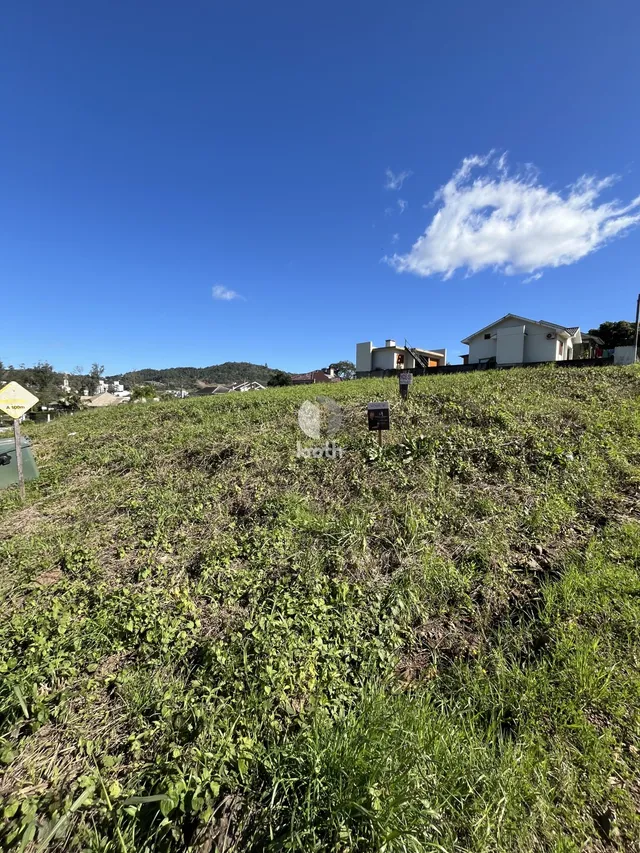 Terreno, foto 3