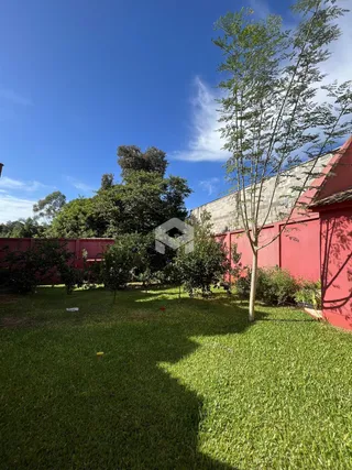 Vista de um jardim gramado com árvores e uma parede vermelha ao fundo.