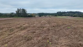 Vista de um campo seco e marrom com vegetação rasteira e árvores ao fundo.
