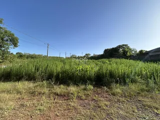 Vista de um campo de vegetação densa em uma propriedade no Brasil.