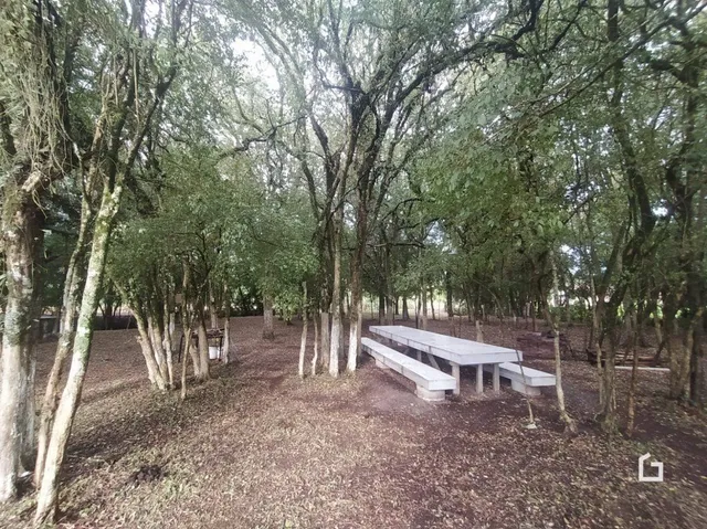 Área externa arborizada com um banco de madeira no meio de uma mata.