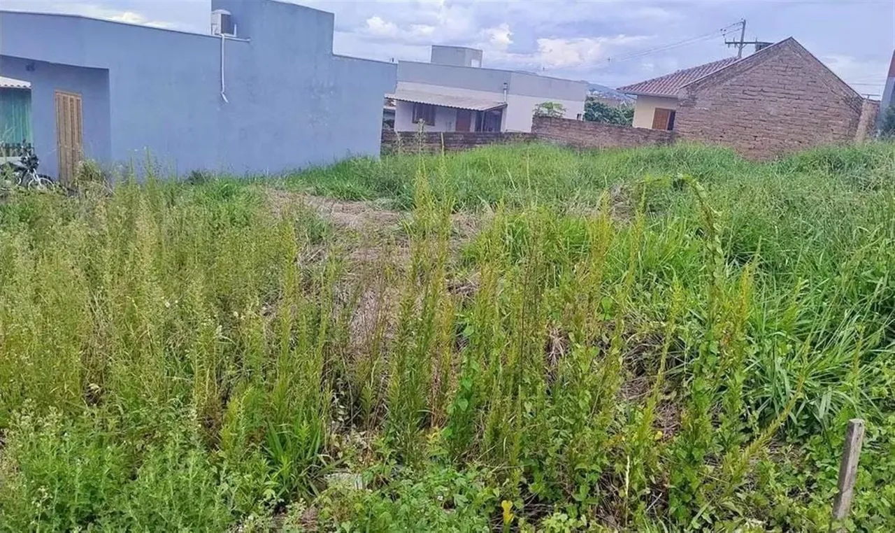 Terreno, foto 1