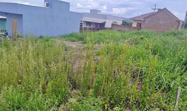 Terreno