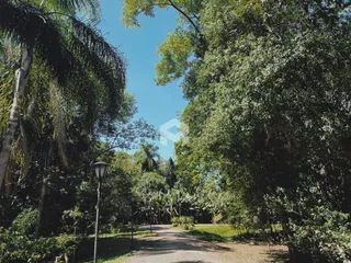 Terreno, foto 7