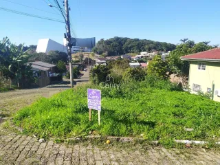 Terreno, foto 1