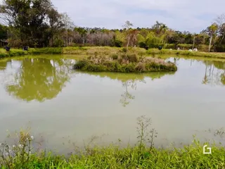 Paisagem de água e vegetação com árvores ao fundo.